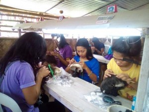 Young women from poor families in Libmanan, Camarines Sur engage in wig production – a collaboration between the DSWD and private firms Aderans Philippines, Inc. and Anando Marketing and Services – as an alternative source of livelihood. SMS-DSWD