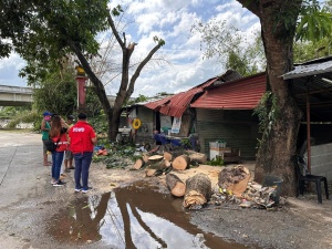 A disaster team of the Department of Social Welfare and Development (DSWD) Field Office I inspects a house damaged by a fallen tree due to Typhoon Betty.